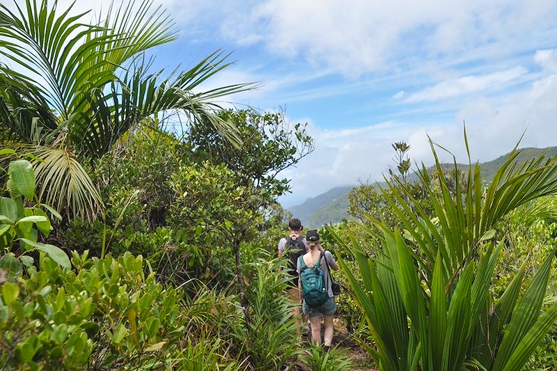 Randonnée sur l'île de Mahé - Seychelles