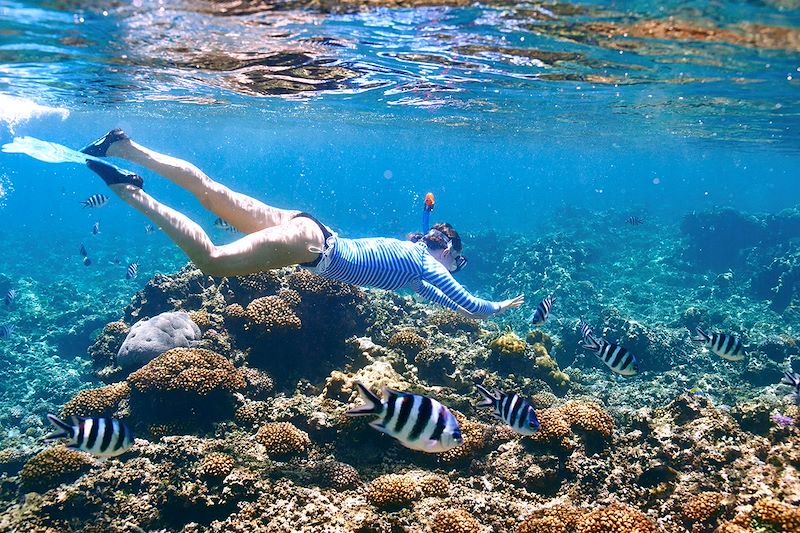 Snorkeling aux Seychelles