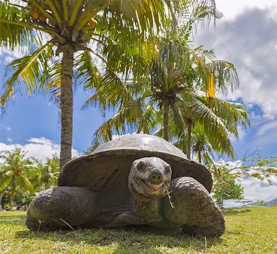 Voyages en famille Seychelles