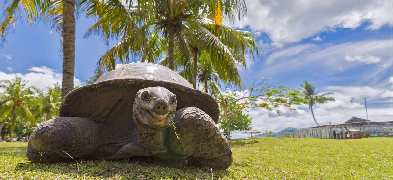 Trek - Le meilleur des Seychelles en Famille !