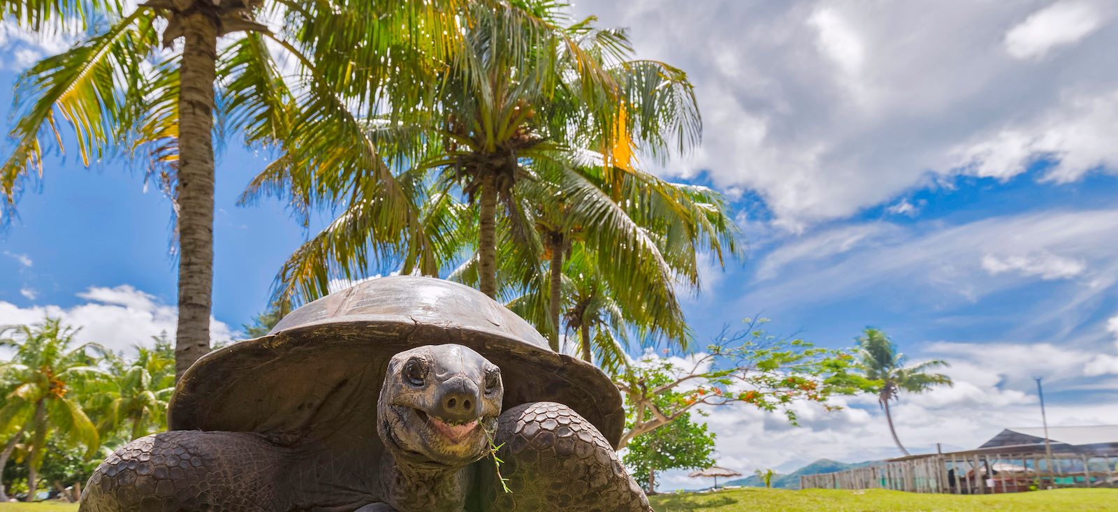 Image Faites le plein Seychelles !