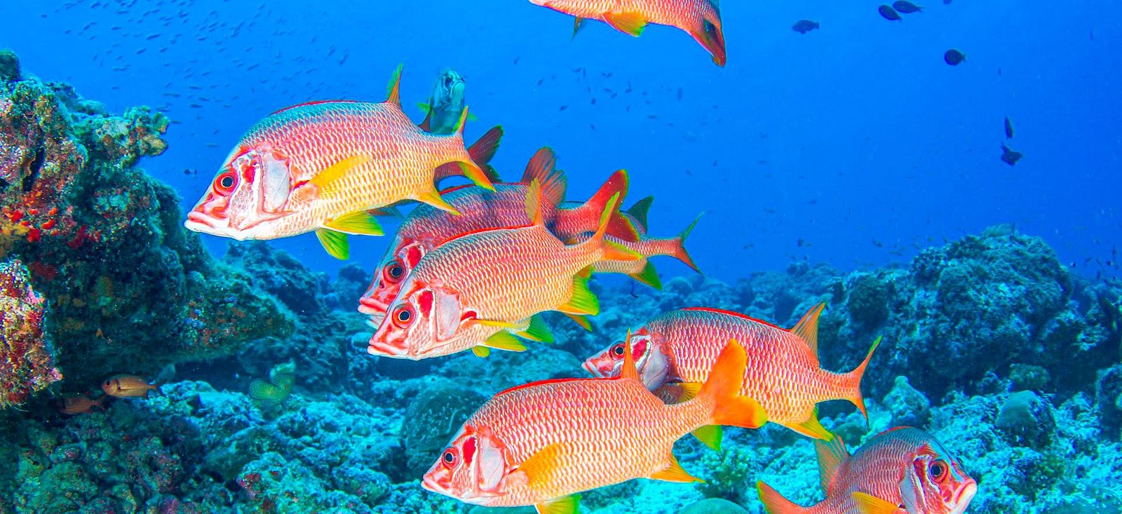 Image Faites le plein Seychelles !