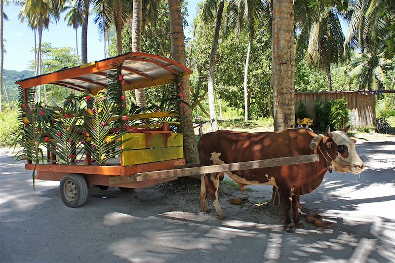 Cabotage seychellois