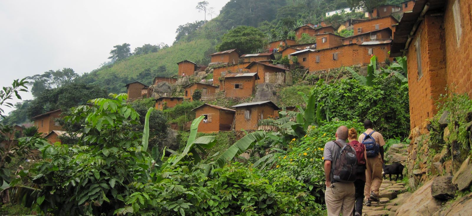 Image Forêts tropicales, villages et cascades
