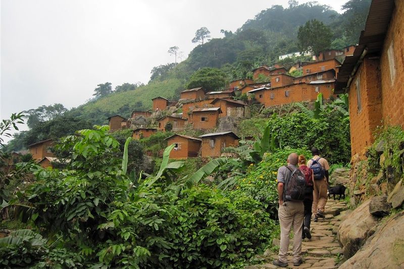 Forêts tropicales, villages et cascades