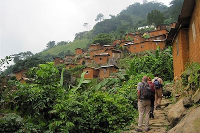 voyage Forêts tropicales, villages et cascades