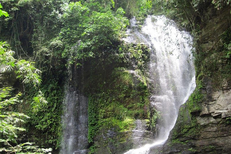 Forêts tropicales, villages et cascades