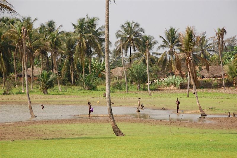 Forêts tropicales, villages et cascades