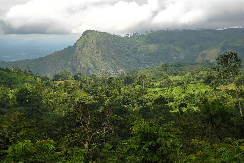 Forêts tropicales, villages et cascades