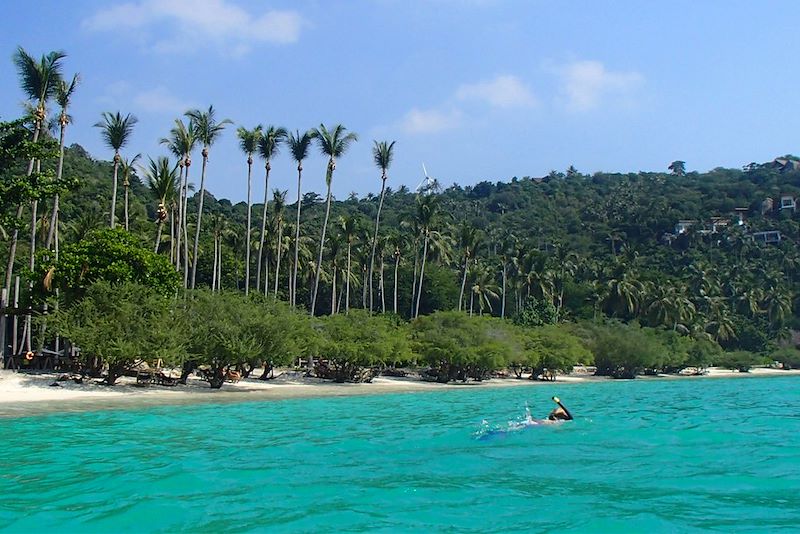 Snorkeling à Koh Tao - Golfe de Thaïlande - Thaïlande