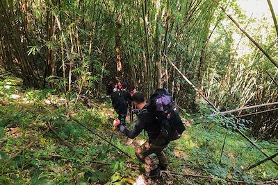 voyage Seul face à la jungle thaïlandaise