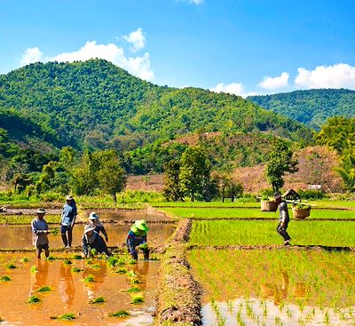 À vélo Thaïlande