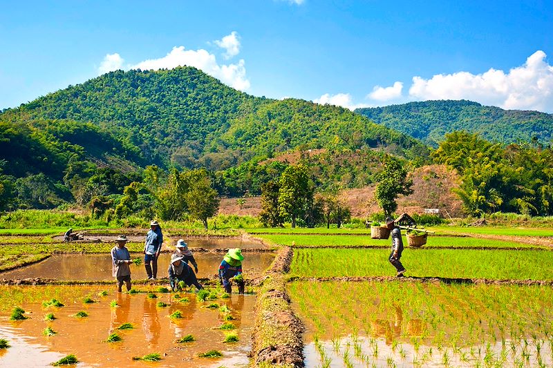 voyage Thaïlande