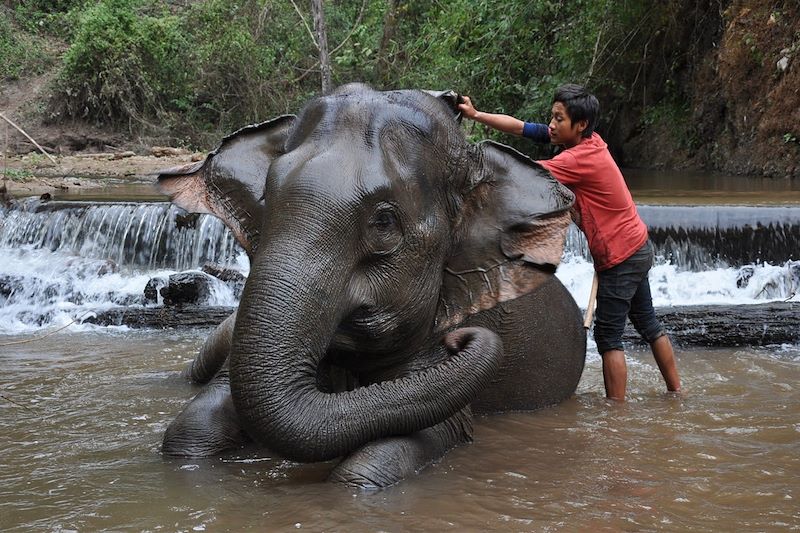 Chiang Mai - Thaïlande