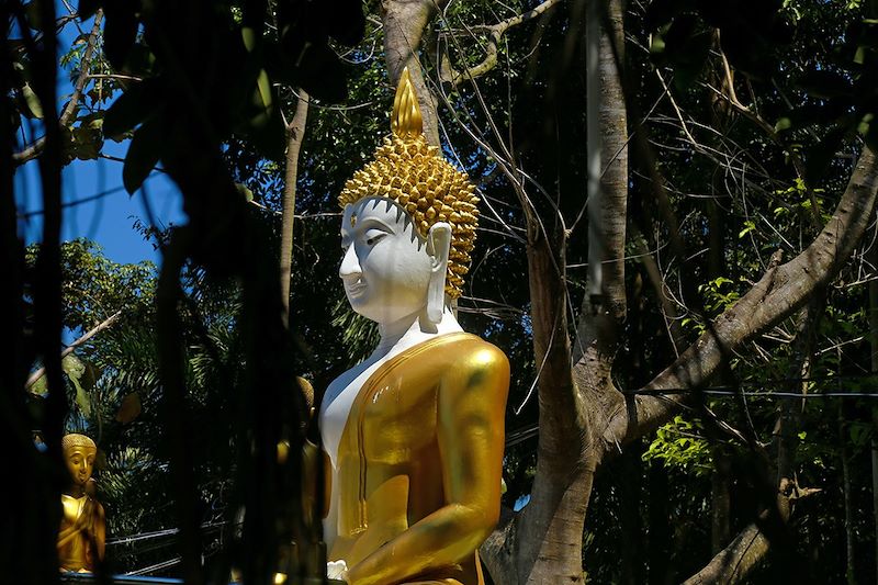 Statue Bouddhiste - Ban Krood - Thaïlande