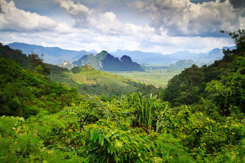 Parc national de Khao Sok - Thaïlande