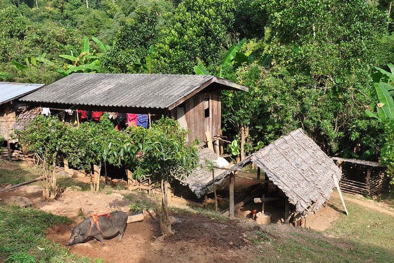 Chiang Mai - Thaïlande