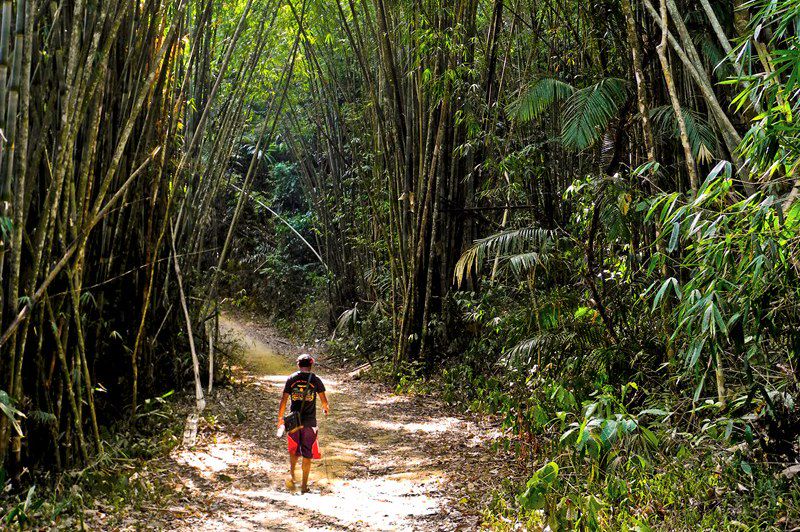 Parc national de Khao Sok - Province de Surat Thani - Thaïlande