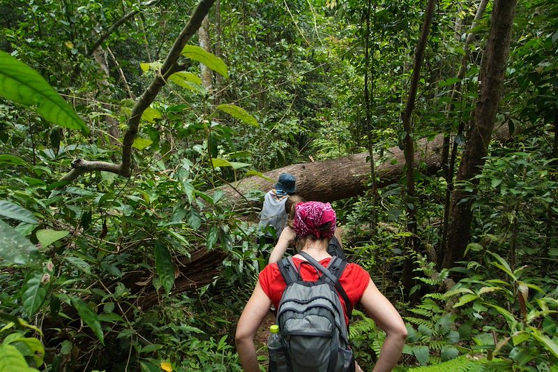 Randonnée dans la jungle - Parc national de Khao Yai - Thaïlande