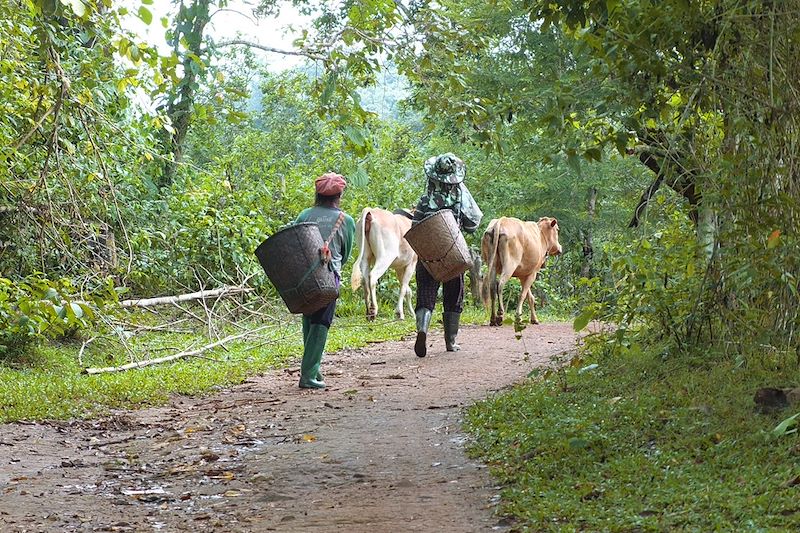 Trek à Chiang Mai - Thaïlande