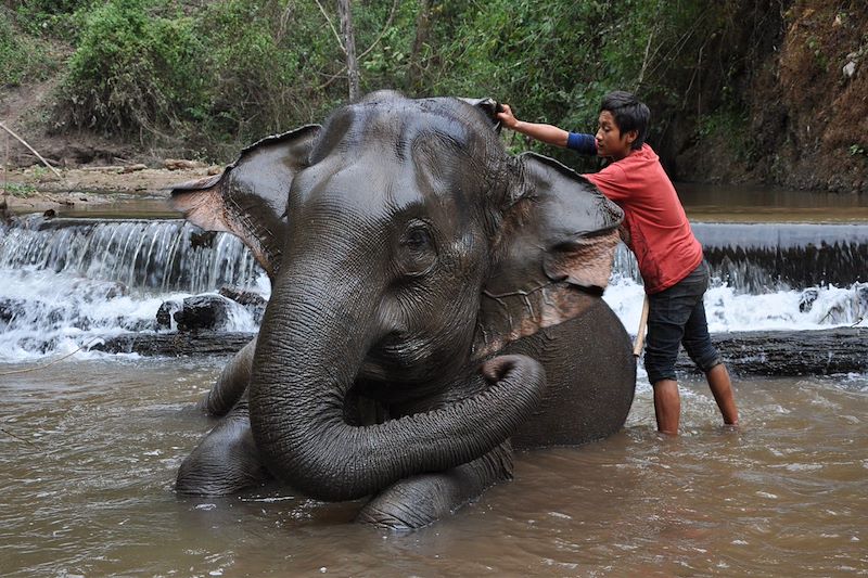 Chiang Mai - Thaïlande