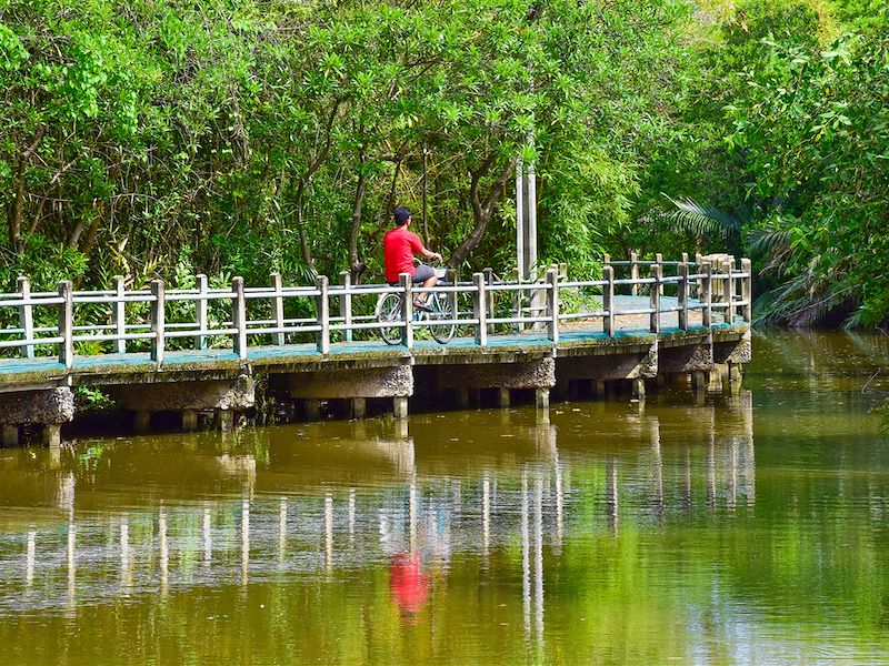 Balade à vélo le long du canal dans le parc de Bang Kachao - Bangkok