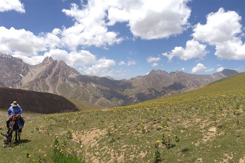 Berger dans la vallée de Sarymat - Tadjikistan