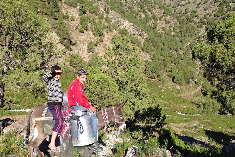 De Samarcande au petit Pamir