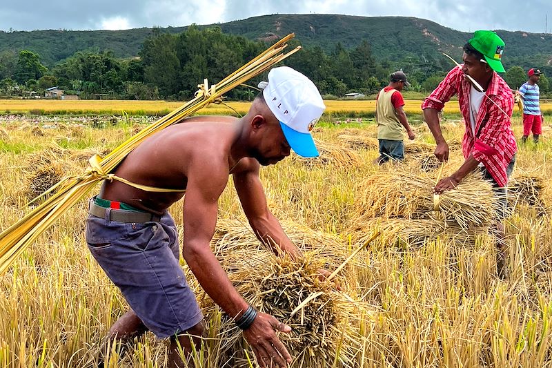 À l'ouest d'Aileu - Municipalité d'Aileu - Timor oriental