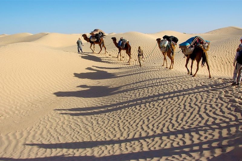 Caravanne dans le Grand Erg Oriental - Tunisie