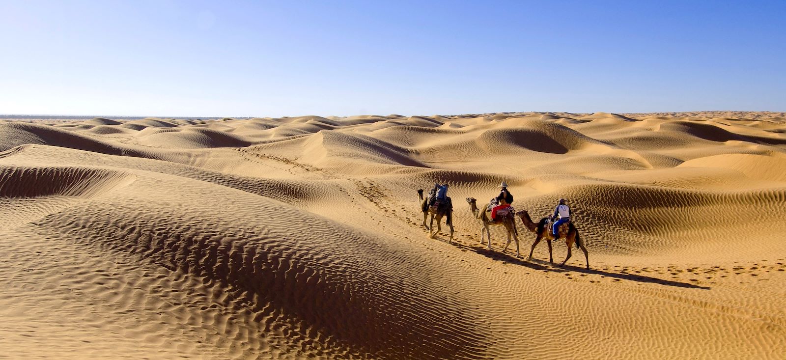 Circuit rando en Tunisie