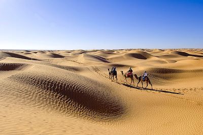 voyage Au cœur du désert caché