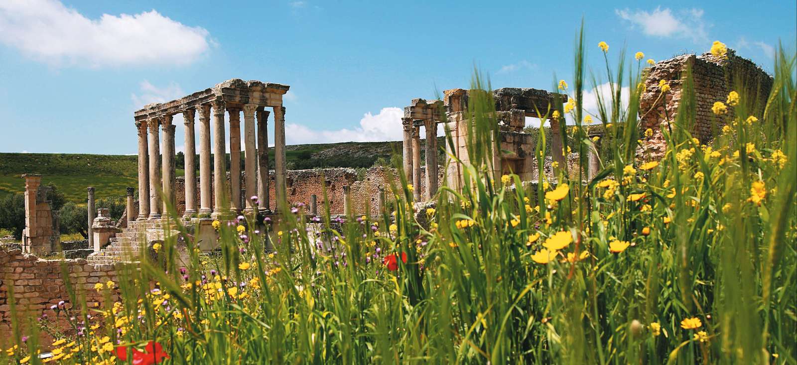 Voyage découverte - De Carthage à Tabarka