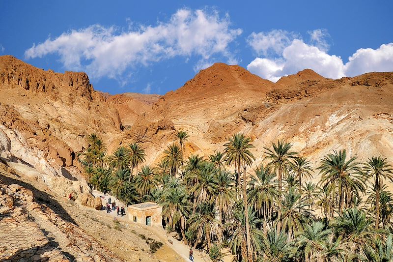 Oasis de Chebika - Tunisie
