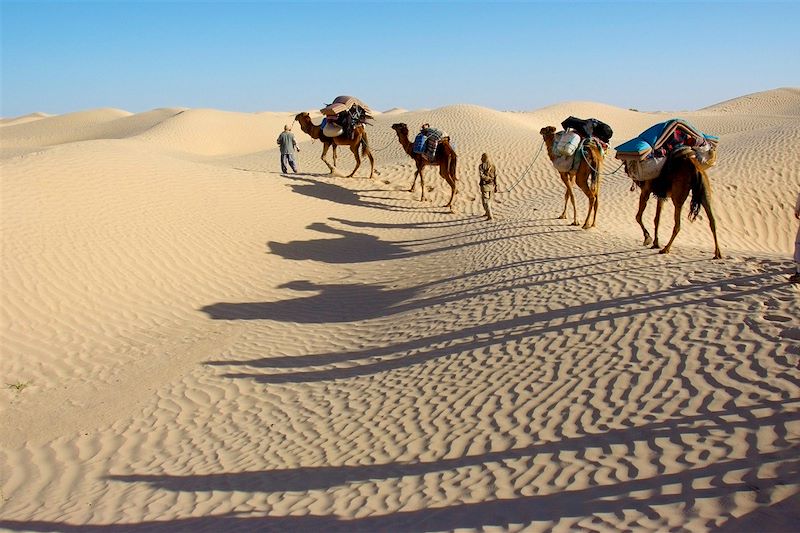 Caravanne dans le Grand Erg Oriental - Tunisie