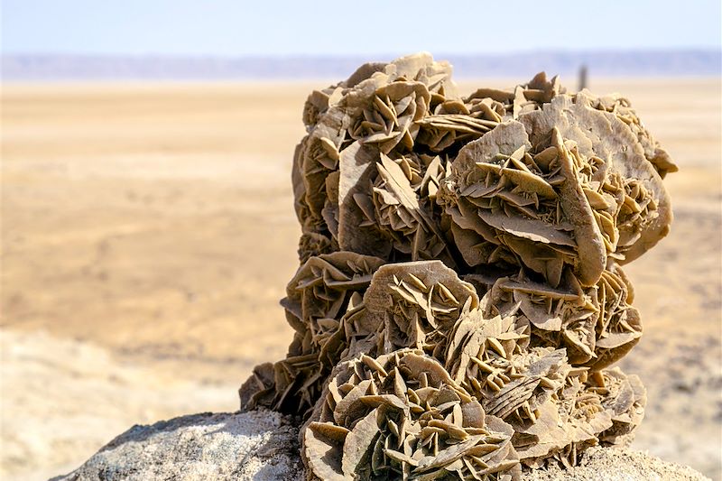 Rose des sables - Tunisie