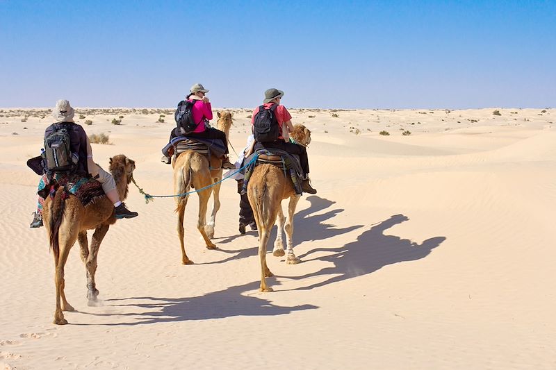 A dos de dromadaire dans le Désert de Douz - Grand Erg Oriental - Tunisie