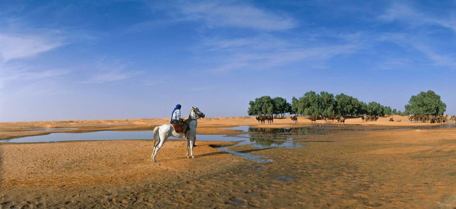 Image Chevauchée aux portes du Sahara