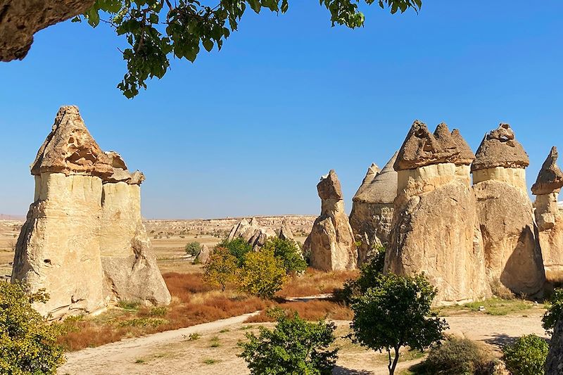 Vallée de Pasabaglari - Cappadoce - Turquie