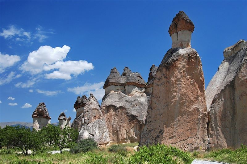 Chevauchée en terre anatolienne  