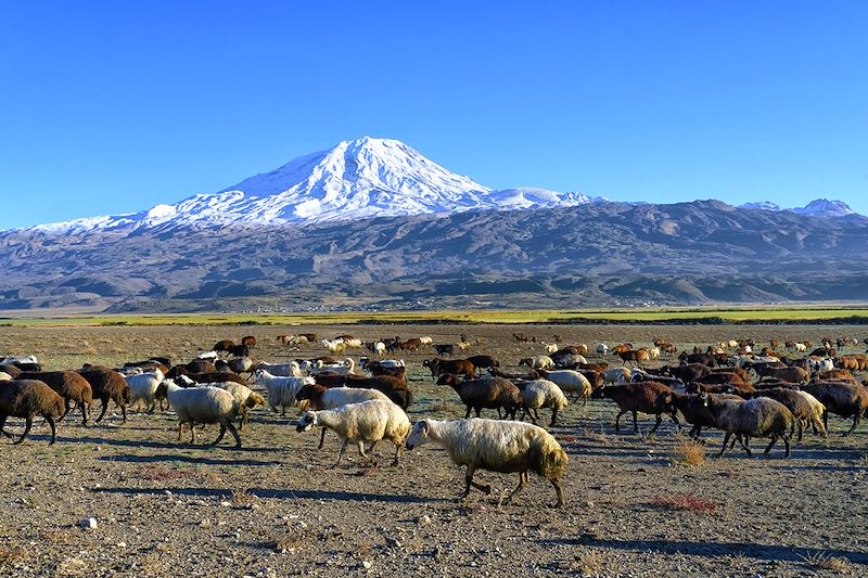 Ascension du mont Ararat, un défi inoubliable