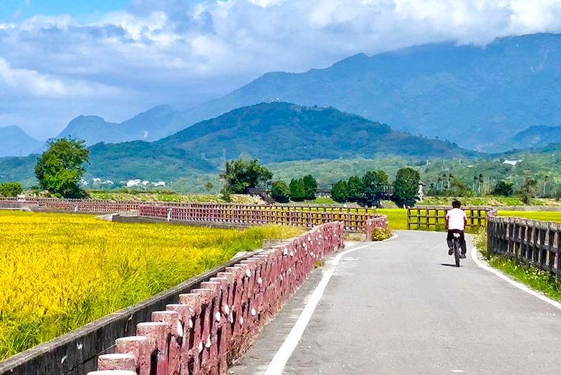 Cycliste dans les rizières de Chishang - Taïwan
