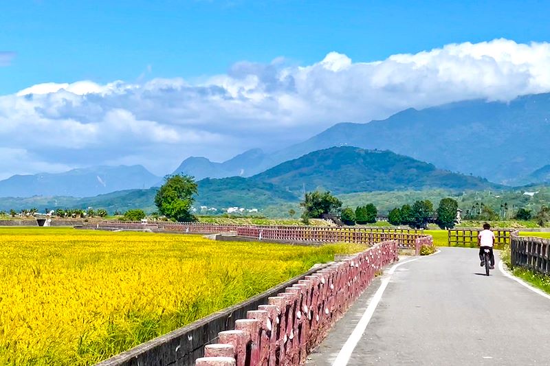 Cycliste dans les rizières de Chishang - Taïwan