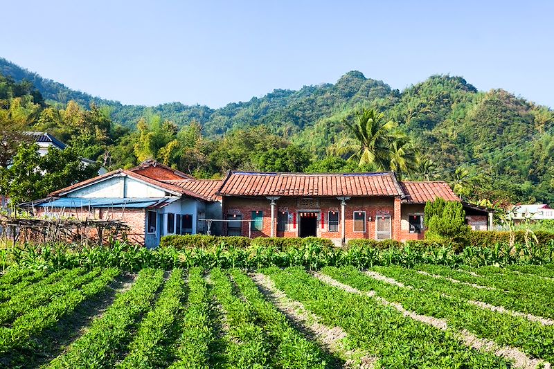 Campagne de Meinong - Taiwan
