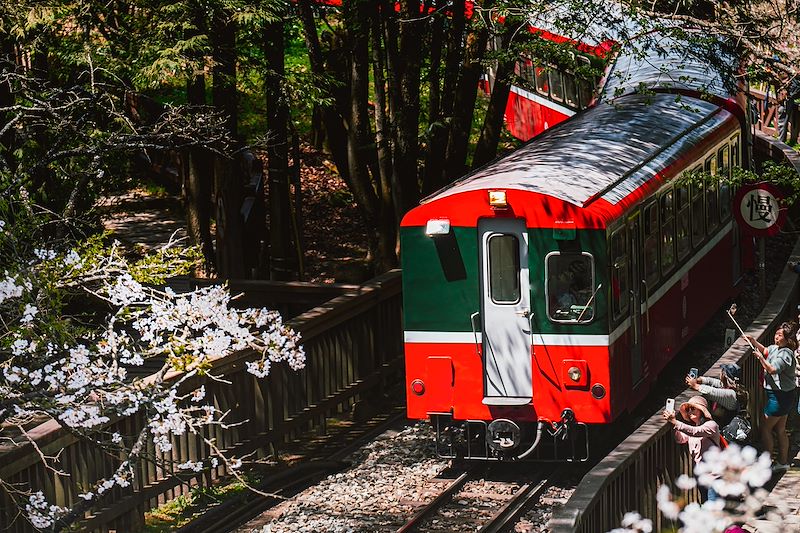 Train dans le Parc national d'Alishan - Taïwan