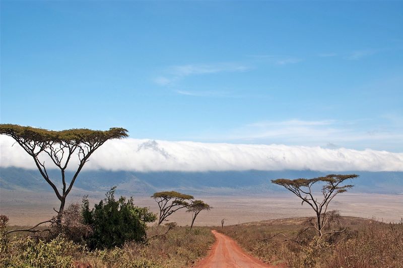 Parc national du Ngorongoro - Région d'Arusha - Tanzanie