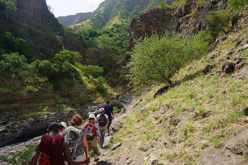 Randonée jusqu’aux chutes de Ngare Sero - Tanzanie