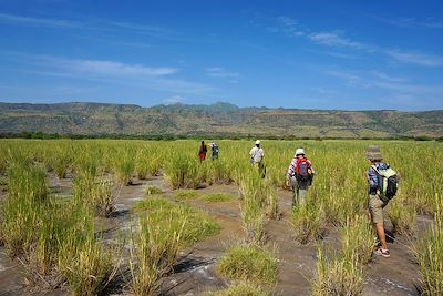 voyage Safari à la belle étoile entre filles ! 