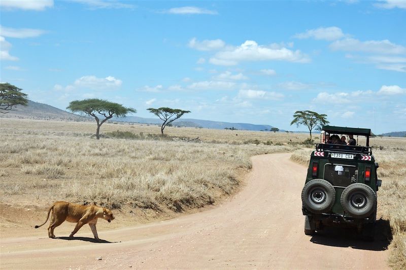 La Tanzanie, l'aventure pour tous 