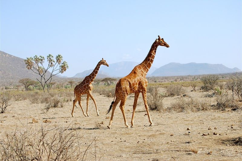 La Tanzanie, l'aventure pour tous 